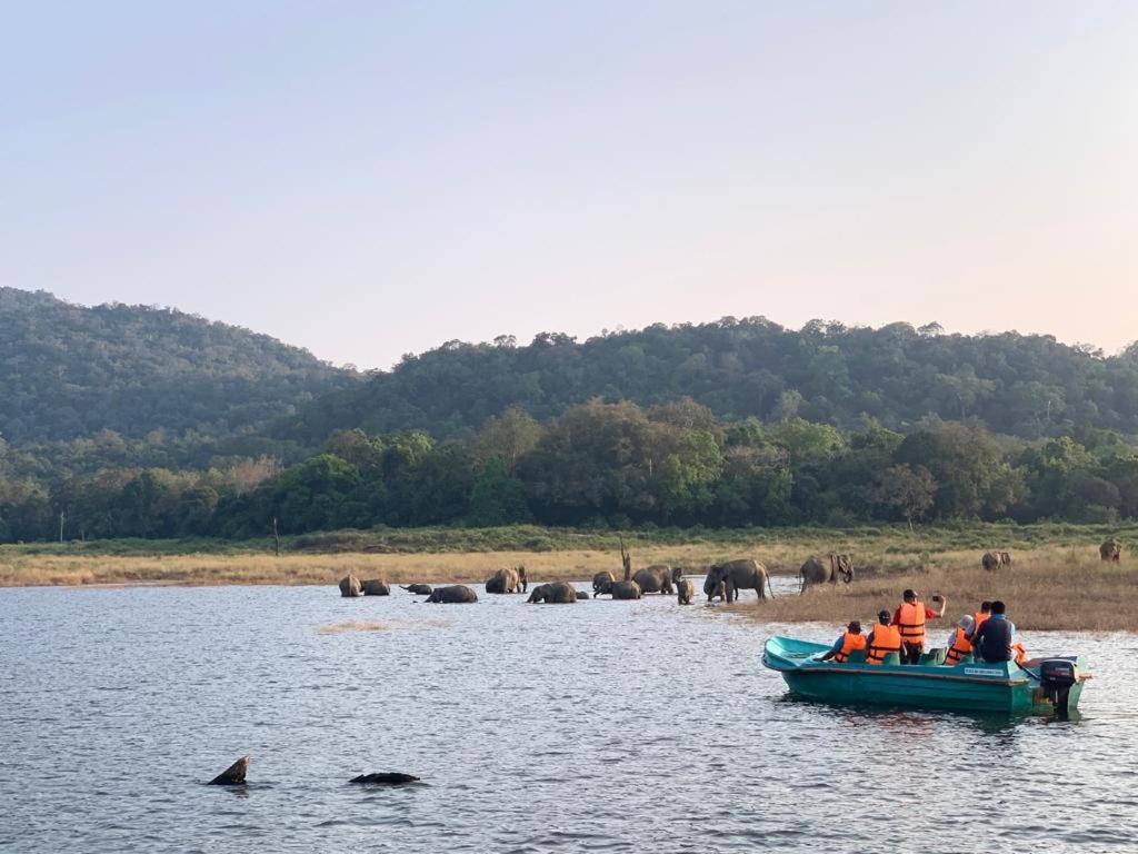 Gal Oya Lake View Inginiyagala Polwatta ภายนอก รูปภาพ