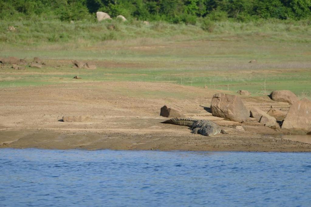 Gal Oya Lake View Inginiyagala Polwatta ภายนอก รูปภาพ